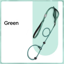 ((Green)) Nylon Slip Lead Dog Leash with Double Handle Heavy Duty Training & Walking Leash