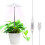 Home Decor Indoor Plant Light, Multi-Level Dimmable Grow Lamp, for Your Green Space (White) 2