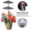 Home Decor Indoor Plant Light, Multi-Level Dimmable Grow Lamp, for Your Green Space (White) 5