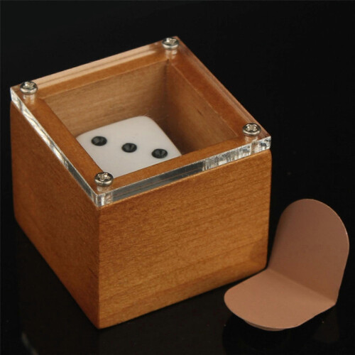 (As show, One size) Magical Performance Dot Number Change Dice Magic Tricks Close Up Magic Prop Gift 2