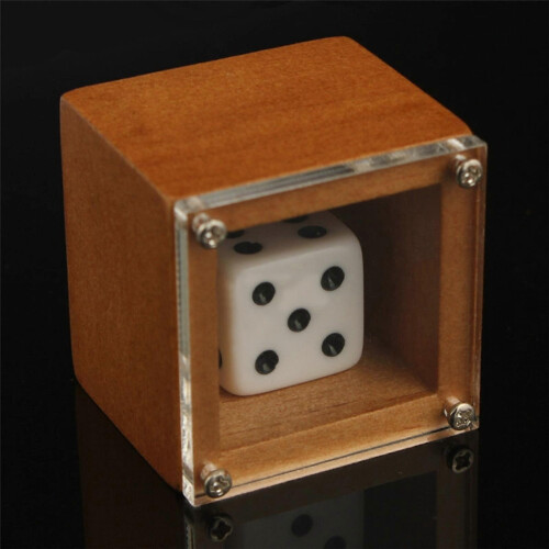 (As show, One size) Magical Performance Dot Number Change Dice Magic Tricks Close Up Magic Prop Gift 1
