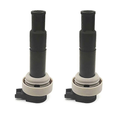 2 Pieces 7715848-01 Engine Ignition Coil Pack 771584801 for BMW G 650