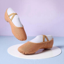 (As show, One size) Ballet Shoes for Women Girls 25cm, Women's Ballet Slipper Dance Shoes Canvas Ballet Shoes Yoga Shoes (Coffee color)