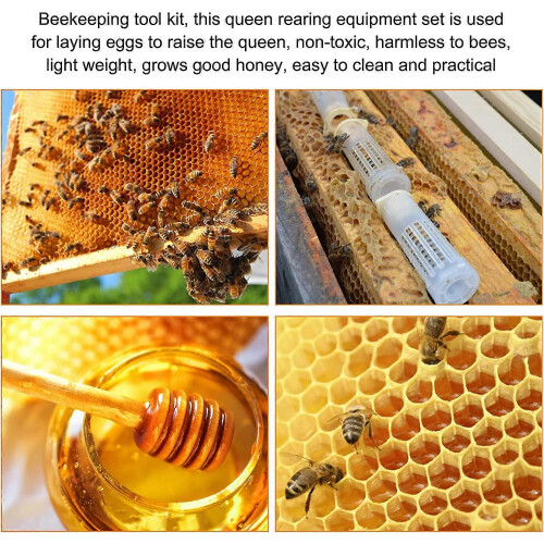 (As show, One size) Bee keeping equipment for queen bee 1