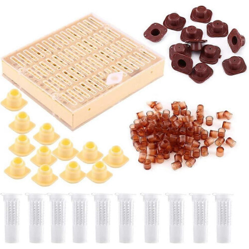 (As show, One size) Bee keeping equipment for queen bee
