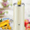 (As show, One size) Electric Mini Egg Roll Machine Multifunctional Automatic Egg Omelette Machine Fried Egg Breakfast Egg Cooker Kitchenware Kitchen Tools green 4