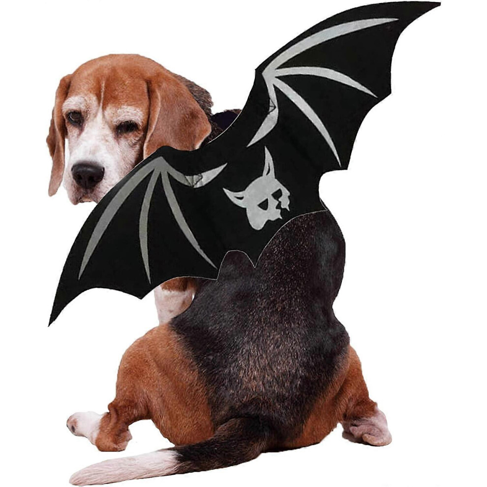 (As Show, One Size) Halloween Cat Costumes | Adorable Unique Halloween Cat Costume For Cat Kitten Puppy Small Dog - Pet Clothes For Small Dogs And Cat 4704245250591