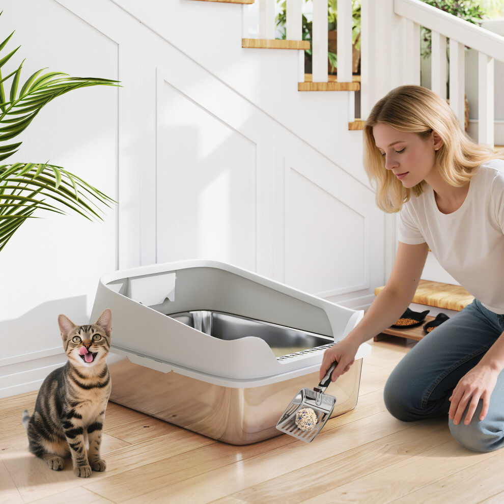 Pawhut (L) Stainless Steel Cat Litter Box With High Sides