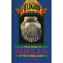 Field Guide to Shells of the Florida Coast