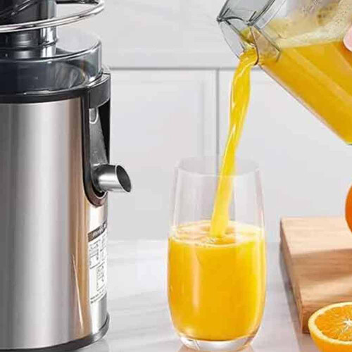 1000W Juicer Machine Whole Fruit Vegetable Juice Extractor Steel Home 2