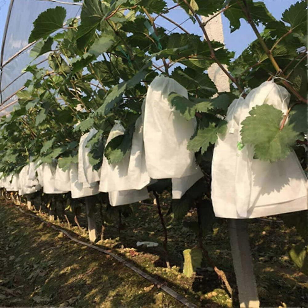 (As show, One size) 100 Pcs Garden Grapes Fruit Protection Bag Fruit Forest Vegetable Bed Flower Pest Control Mesh Bag Insect Isolation Net Barrier Ba-image-OPC-PHPCS2H-NEW