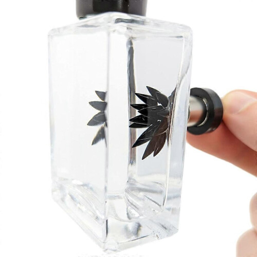 (As show, One size) Magic Ferrofluid Display Toy Magnetic Dynamic Ferrofluid Science Kit Teens Gift 1