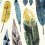 Hallmark Blank Cards Sortiment Nature Prints (48 karet s oblkami) 3