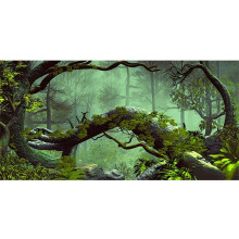 Awert 72x24 inches Foggy Forest Terrarium Baggrund Stone Green Tree Tropical Reptil Habitat Baggrund Regnskov Akvarium Baggrund Holdbar Polyester