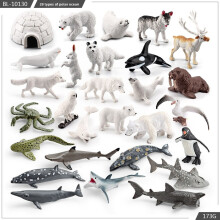 (StyleD) Simulated Penguin Deer Polar Bear Beluga Whale Wild Polar Animal Ocean Model
