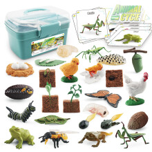 (Blue) Bee Butterfly Rooster Frog Model Storage Box Animal And Plant Cycle Set Growth