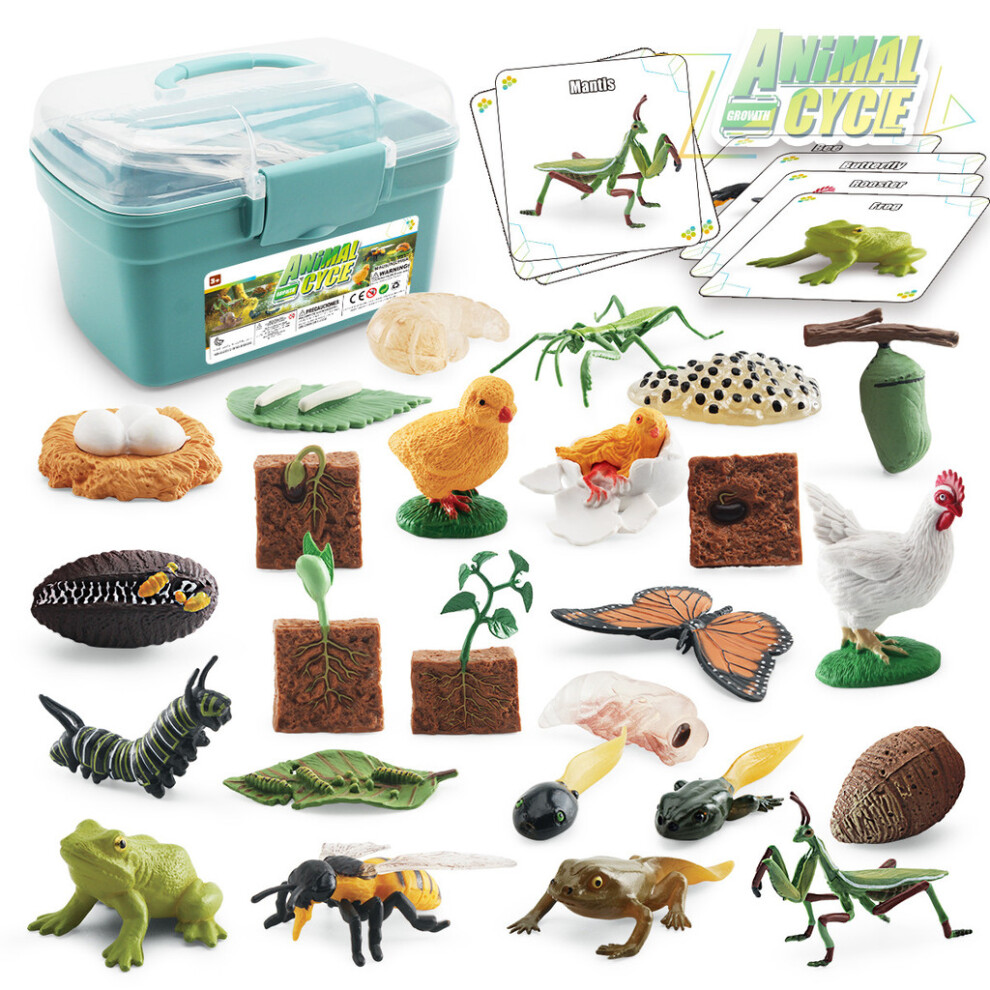 (Blue) Bee Butterfly Rooster Frog Model Storage Box Animal And Plant Cycle Set Growth Blue