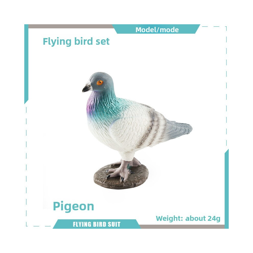 (Pigeon A) Simulated Pigeon Magpie Rhododendron Bird Animal Model Educational For Display