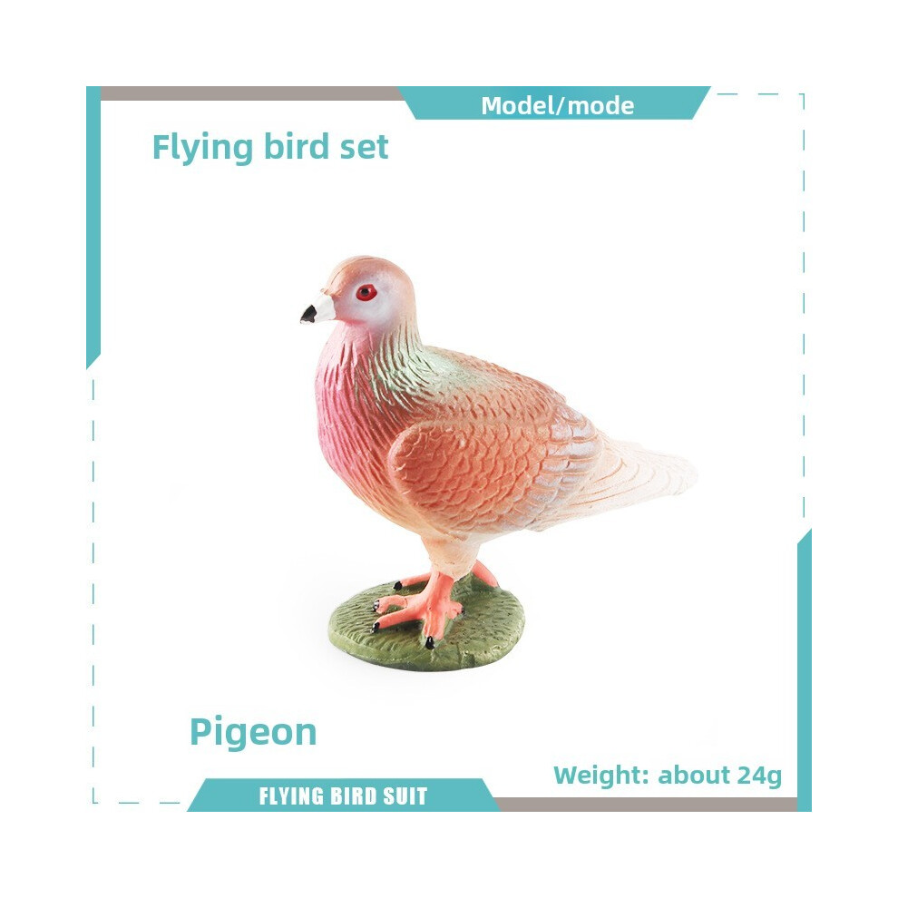 (Pigeon B) Simulated Pigeon Magpie Rhododendron Bird Animal Model Educational For Display