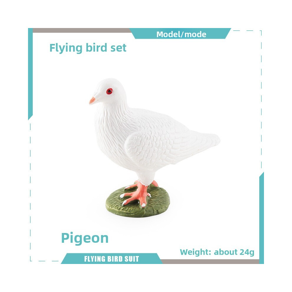 (Pigeon C) Simulated Pigeon Magpie Rhododendron Bird Animal Model Educational For Display