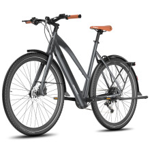 Fafrees F700W Electric Bike, 250W Motor, 10AH Battery, 9 Speeds, Black