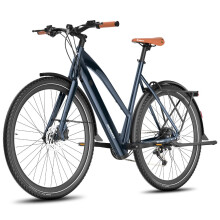 Fafrees F700W Electric Bike, 250W Motor, 10AH Battery, 9 speeds, Blue