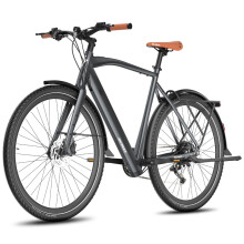 Fafrees F700M Electric Bike, 250W Motor, 10AH Battery, 9 Speeds, Black