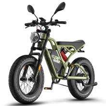 Fafrees F20 Ultra Electric Bike, 750W Motor, 25AH Battery, Green