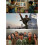 Karate Kid: Legends (2025) Blu-ray 1080P BD 2