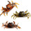 (As show, One size) 3D simulation simulation crab bait 2