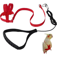 (As show, One size) Parrot Harness and Leash (Red), Adjustable Parrot Flight Training Rope for Parrots Nylon Rope Bird Harness and Leash Kit for Birds Training Rope