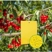 (As show, One size) 20 Pz yellow double-sided trap fly, 15 20cm sticky paper stickers against whiteflies, aphids, gnats and leaf miners