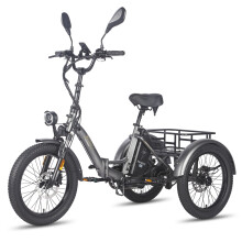 Fafrees F20 Mate 20''Electric Tricycle, 500W Motor, 21AH Battery, Gray