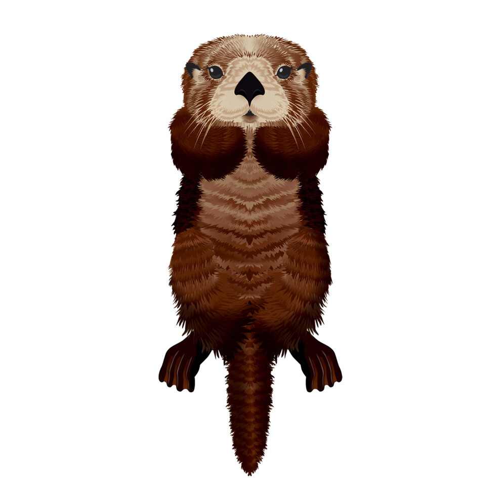 Windnsun Sea Life Nylon Kite Otter O Wysokosci 50 Cali-image