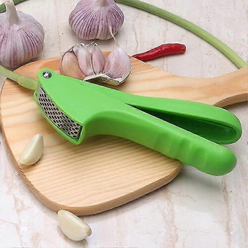 Stainless Steel Garlic Press 2pcs Practical Kitchen Utensils 2