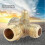 Brass Compressor Check Valve External Thread 90 Degrees 20*19*10mm 3