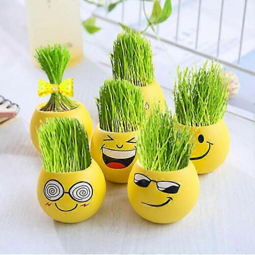 6pcs Planter Smiley Face for Home And Garden Decoration 1