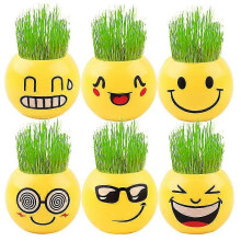 6pcs Planter Smiley Face for Home And Garden Decoration