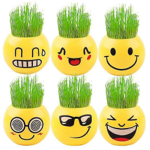 6pcs Planter Smiley Face for Home And Garden Decoration