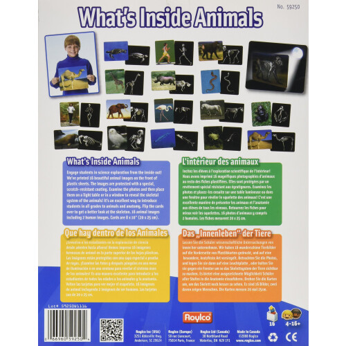Wat zit er in Dieren Flash Cards 1