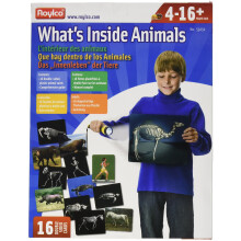 Wat zit er in Dieren Flash Cards