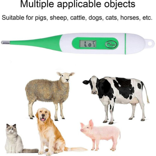 Electronic Veterinary Thermometer Digital Pet Farm Animal Thermometer 2