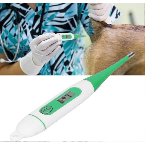 Electronic Veterinary Thermometer Digital Pet Farm Animal Thermometer 1