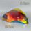 (Rainbow) Icon Airflite Visor Shield - Fliteshield Mirrored Airflite Faceshield - Replacement Face Shield For Icon Airflite Helmets 5