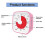 (Pink) Visual , Oversize Classroom Visual Timer For Kids And Adults, Durable Mechanical Kitchen Timer Clock 3