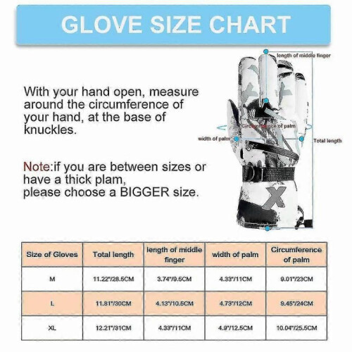 (L, Dark*White) Winter Ski Gloves Warm Lining Windproof Waterproof Snow Gloves