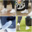 (M, 1Pair) Waterproof Shoe Covers Reusable Silicone Shoe Covers Silicone 4