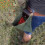 (Coffee) Canvas Waist Bag With Leather Cover Multi-color Optional 3