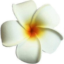 20 Pieces Water Floating Plumeria Artificial Flower Frangipani for Pool Decoration And Bathtub(white) Hawaiian Foam Artificial Plumeria