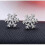 Silver Earrings for Christmas - Snowflake Silver 5